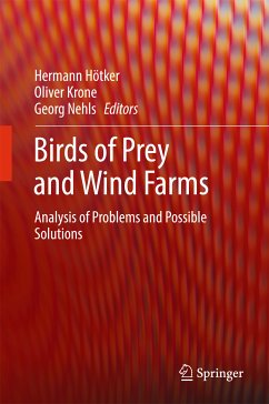 Birds of Prey and Wind Farms (eBook, PDF)