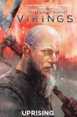 Vikings Volume 2 (eBook, PDF)
