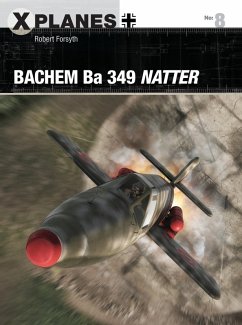 Cover Bachem Ba 349 Natter (eBook, ePUB)