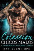 Coleccion chicos malos: 5 apasionadas historias cortas (eBook, ePUB) Coleccion chicos malos: 5 apasionadas historias cortas (eBook, ePUB)