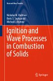 Ignition and Wave Processes in Combustion of Solids (eBook, PDF)