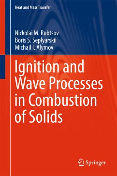 Ignition and Wave Processes in Combustion of Solids (eBook, PDF) - Rubtsov, Nickolai M.; Seplyarskii, Boris S.; Alymov, Michail I.