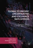 Global Economic Uncertainties and Exchange Rate Shocks (eBook, PDF)