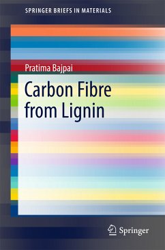 Carbon Fibre from Lignin (eBook, PDF) - Bajpai, Pratima