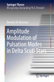 Amplitude Modulation of Pulsation Modes in Delta Scuti Stars (eBook, PDF)