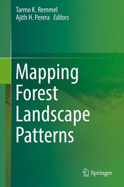 Mapping Forest Landscape Patterns (eBook, PDF)