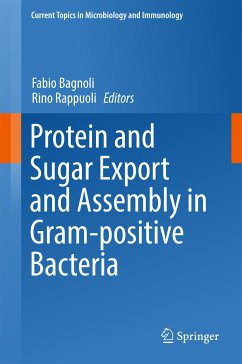 Protein and Sugar Export and Assembly in Gram-positive Bacteria (eBook, PDF)