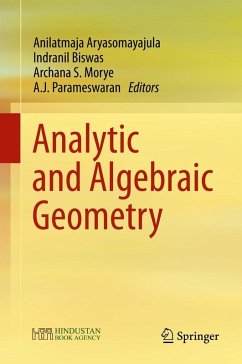 Cover Analytic and Algebraic Geometry (eBook, PDF)