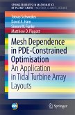 Mesh Dependence in PDE-Constrained Optimisation (eBook, PDF)