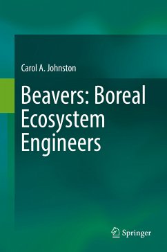 Beavers: Boreal Ecosystem Engineers (eBook, PDF) - Johnston, Carol A.