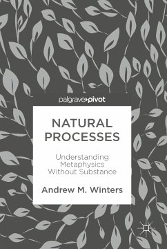 Natural Processes (eBook, PDF) - Winters, Andrew M.