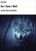 Der ( böse ) Wolf (eBook, ePUB)