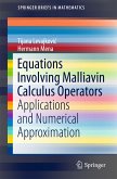 Equations Involving Malliavin Calculus Operators (eBook, PDF)