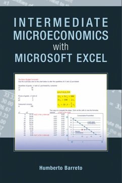 Intermediate Microeconomics with Microsoft Excel (eBook, ePUB) - Barreto, Humberto