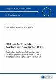 Effektiver Rechtsschutz - Das Recht der Europaeischen Union (eBook, ePUB)