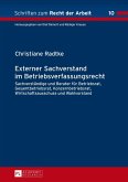 Externer Sachverstand im Betriebsverfassungsrecht (eBook, PDF)
