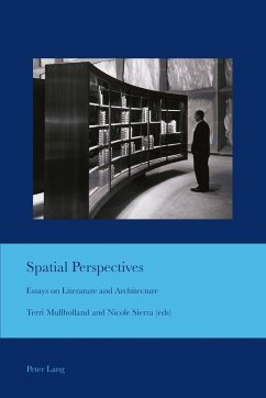 Spatial Perspectives (eBook, PDF)