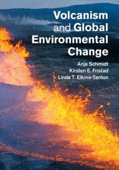 Cover Volcanism and Global Environmental Change (eBook, PDF)
