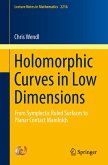 Holomorphic Curves in Low Dimensions (eBook, PDF)