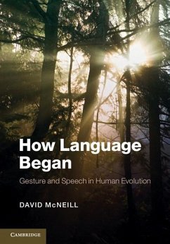 How Language Began (eBook, ePUB) - Mcneill, David