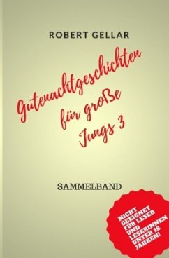 Gutenachtgeschichten für große Jungs 3 - Gellar, Robert