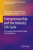 Entrepreneurship and the Industry Life Cycle (eBook, PDF)