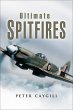 Ultimate Spitfires (eBook, ePUB) - Bild 1