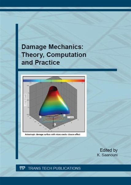Damage Mechanics: Theory, Computation and Practice (eBook, PDF)