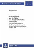 Arbeitsmigration aus der Tuerkei und die Gewerkschaften in Oesterreich (eBook, PDF)