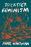 Trickster Feminism (eBook, ePUB)
