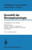 Grundriß der Sinnesphysiologie (eBook, PDF)