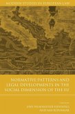 Normative Patterns and Legal Developments in the Social Dimension of the EU (eBook, PDF)