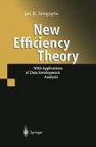 New Efficiency Theory (eBook, PDF)