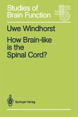 How Brain-like is the Spinal Cord? (eBook, PDF)