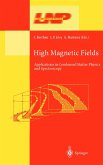 High Magnetic Fields (eBook, PDF)