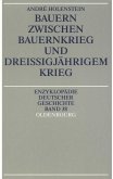 Bauern zwischen Bauernkrieg und Dreißigjährigem Krieg (eBook, PDF)