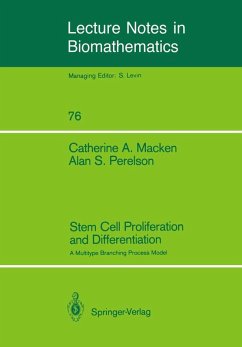 Stem Cell Proliferation and Differentiation (eBook, PDF) - Macken, Catherine A.; Perelson, Alan S.