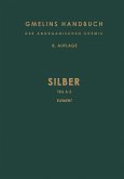 Silber (eBook, PDF)
