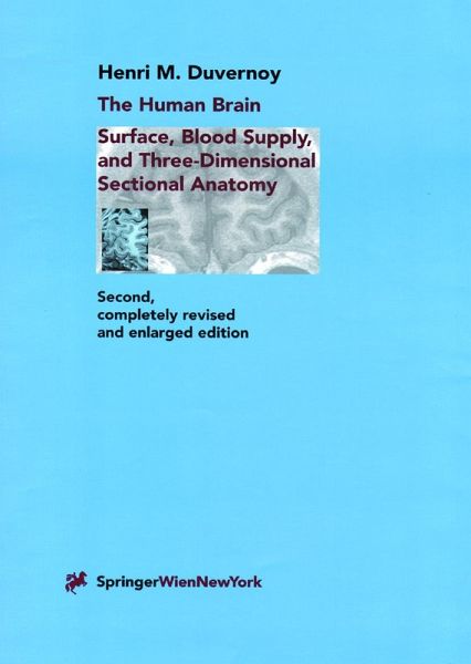 The Human Brain (eBook, PDF)