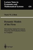 Dynamic Models of the Firm (eBook, PDF)
