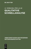 Qualitative Schnellanalyse (eBook, PDF)