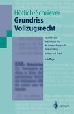 Grundriss Vollzugsrecht (eBook, PDF)