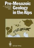 Pre-Mesozoic Geology in the Alps (eBook, PDF)