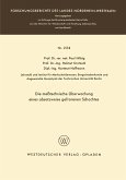 Die meßtechnische Überwachung eines absatzweise gefrorenen Schachtes (eBook, PDF)