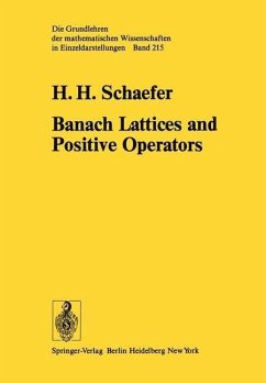 Cover Banach Lattices and Positive Operators (eBook, PDF)
