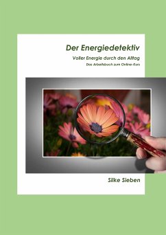 Der Energiedetektiv (eBook, ePUB) - Sieben, Silke