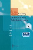 Multimedia-Kurs Datenbanksysteme (eBook, PDF)