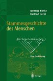 Stammesgeschichte des Menschen (eBook, PDF)