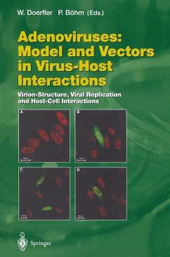 Adenoviruses: Model and Vectors in Virus-Host Interactions (eBook, PDF)