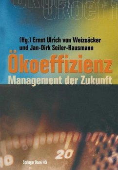 Ökoeffizienz (eBook, PDF)